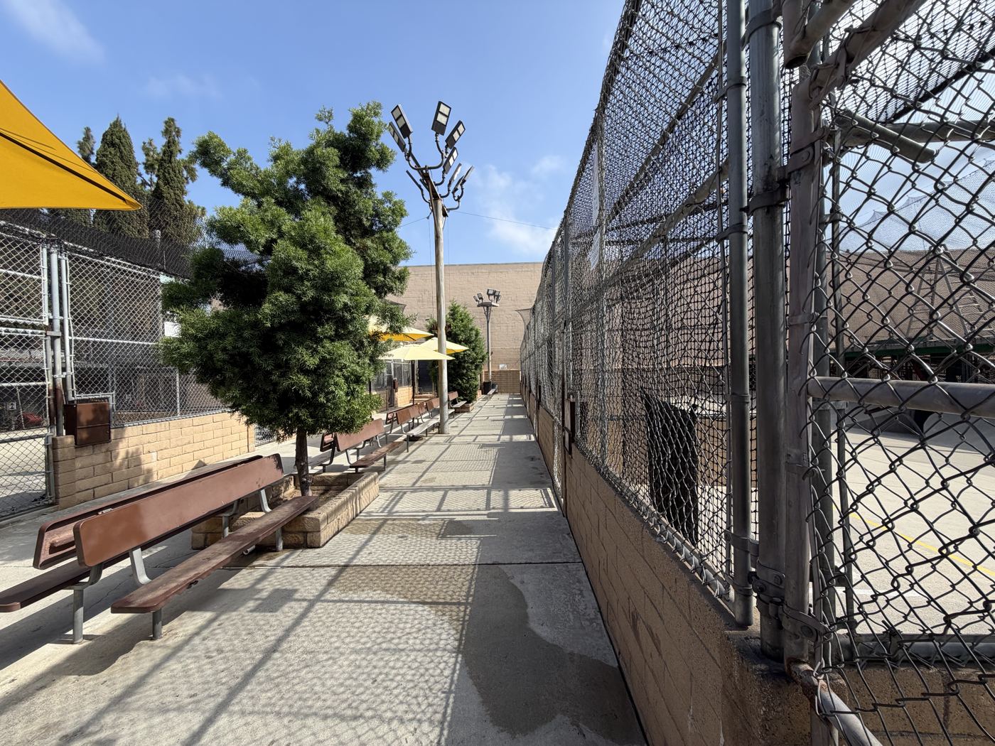 Picnic tables and umbrellas beside the cages at Home Run Park